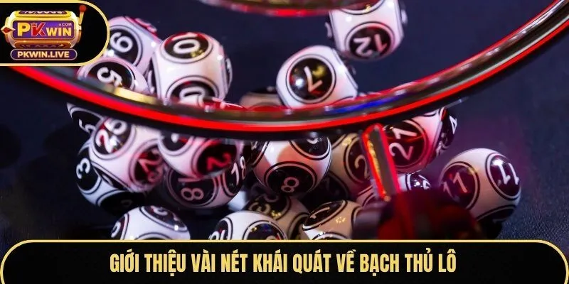 Giới thiệu vài nét khái quát về bạch thủ lô