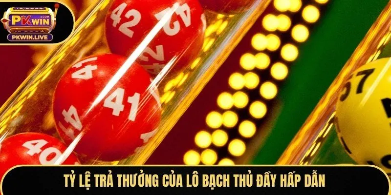 Tỷ lệ trả thưởng của lô bạch thủ đầy hấp dẫn