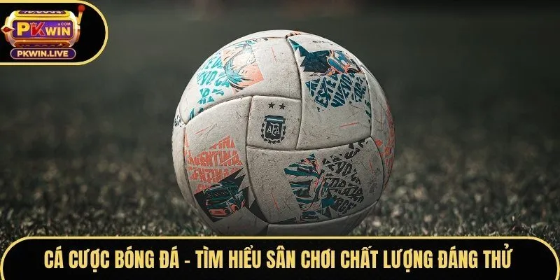 cá cược bóng đá