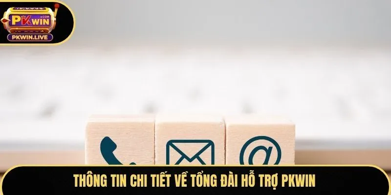 Thông tin chi tiết về tổng đài hỗ trợ Pkwin