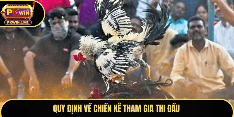 Quy định về chiến kê tham gia thi đấu