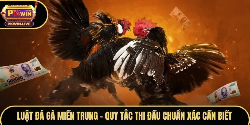 Luật đá gà miền Trung
