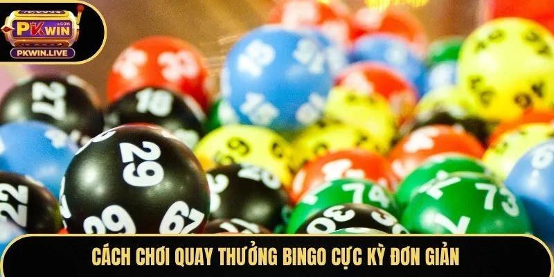 Cách chơi quay thưởng Bingo cực kỳ đơn giản