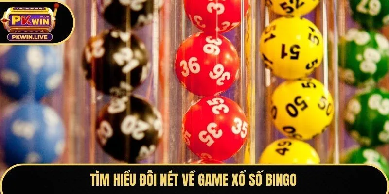 Tìm hiểu đôi nét về game xổ số Bingo